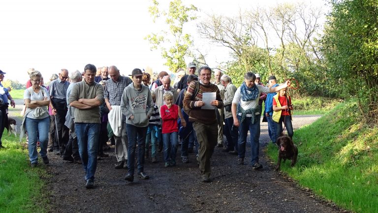 Spurensuche am Langsee