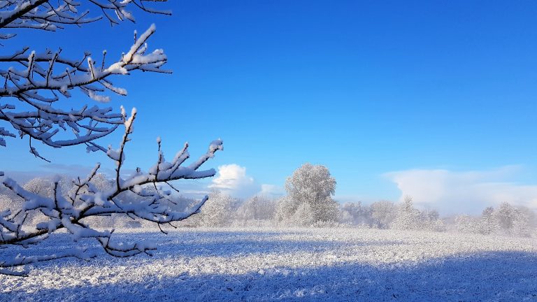 Wahl der Kandidatinnen und Kandidaten zur Kommunalwahl am 14. Mai 2023